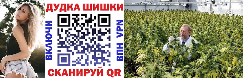 Купить где  Невель  Каннабис конопля 